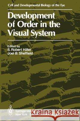 Development of Order in the Visual System