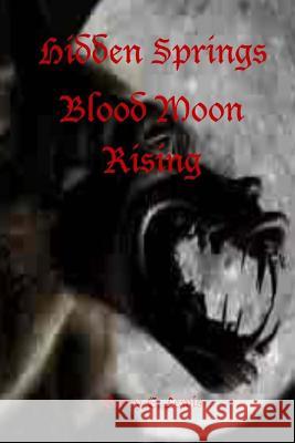 Hidden Springs Blood Moon Rising