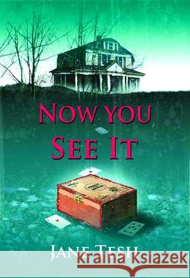 Now You See It: A Grace Street Mystery