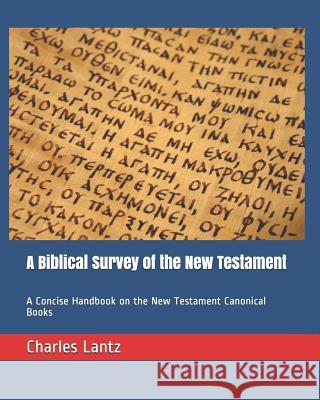 A Biblical Survey of the New Testament: A Concise Handbook on the New Testament Canonical Books