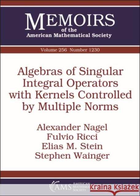 Algebras of Singular Integral Operators with Kernels Controlled by Multiple Norms