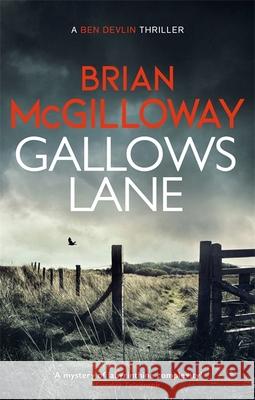 Gallows Lane: An ex con and drug violence collide in the borderlands of Ireland...