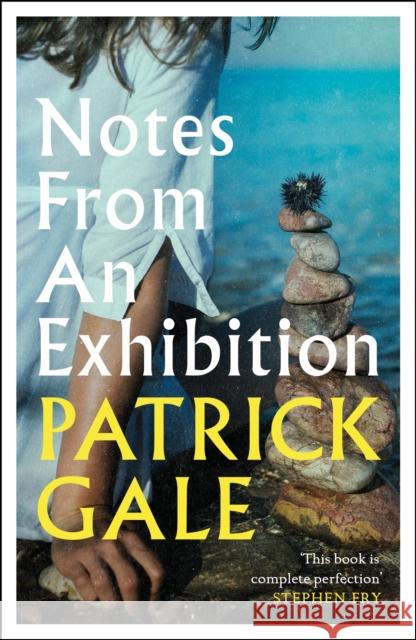 Notes from an Exhibition: A thought-provoking and stunning classic novel of marriage, art and the secrets of family life