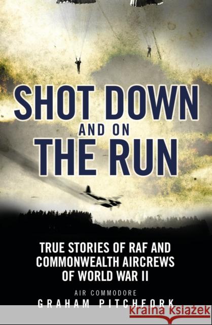 Shot Down and on the Run: True Stories of RAF and Commonwealth Aircrews of WWII