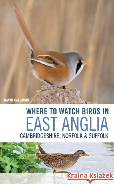 Where to Watch Birds in East Anglia: Cambridgeshire, Norfolk and Suffolk