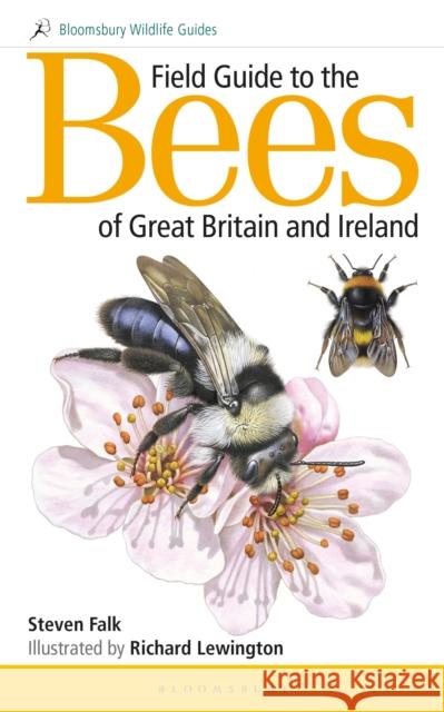 Field Guide to the Bees of Great Britain and Ireland