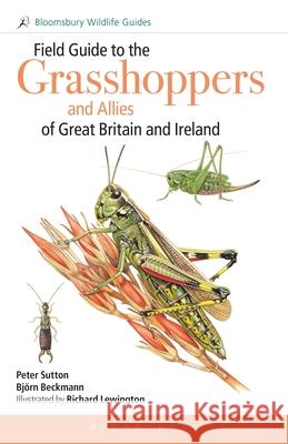 Field Guide to the Grasshoppers and Allies of Great Britain and Ireland: Grasshoppers, Crickets, Earwigs, Cockroaches, Mantids and Stick-insects