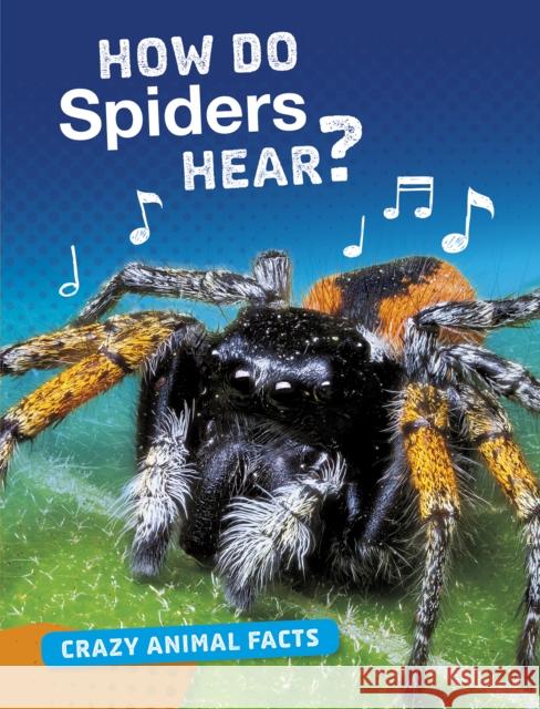 How Do Spiders Hear?