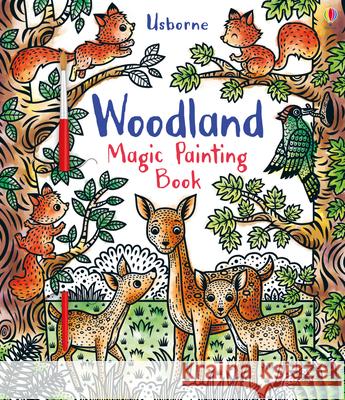 Woodland Magic Painting Book