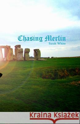 Chasing Merlin
