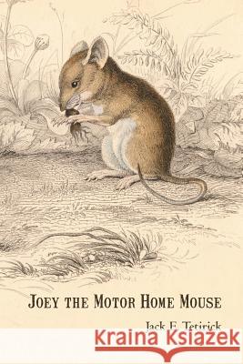 Joey the Motor Home Mouse