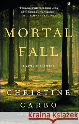 Mortal Fall: A Novel of Suspense