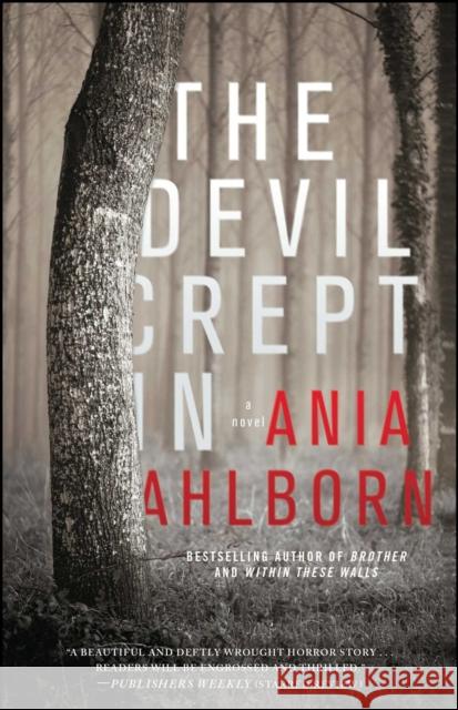 The Devil Crept In: A Novel