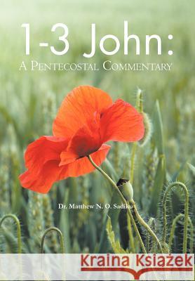 1-3 John: A Pentecostal Commentary