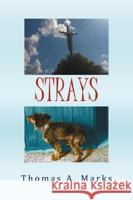 Strays