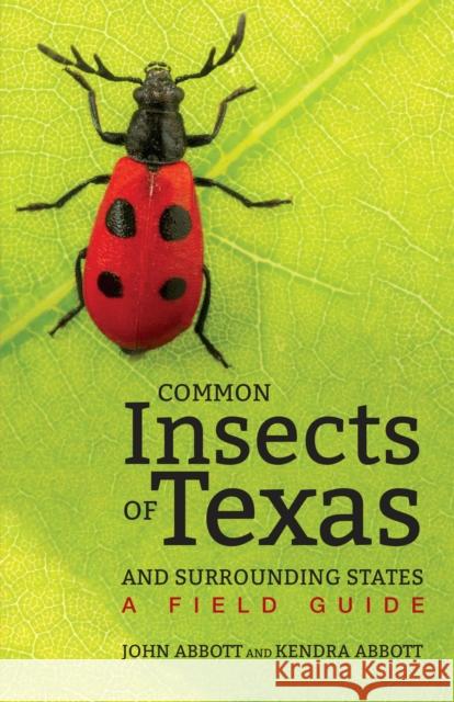 Common Insects of Texas and Surrounding States: A Field Guide