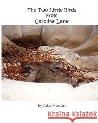 The Two Little Birds From Caroline Lane