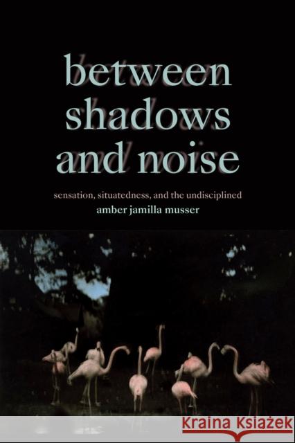 Between Shadows and Noise