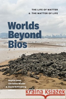 Worlds Beyond BIOS: The Life of Matter and the Matter of Life