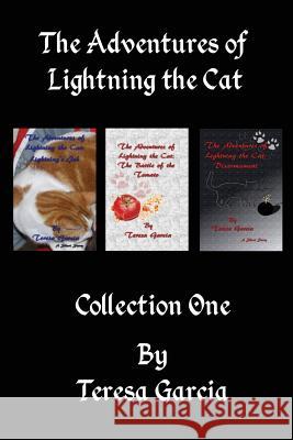 The Adventures of Lightning the Cat: Short Stories Collection One