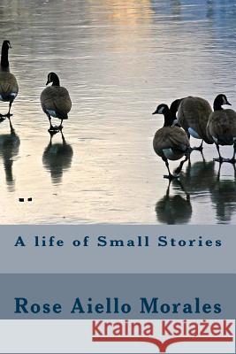 A Life of Small Stories