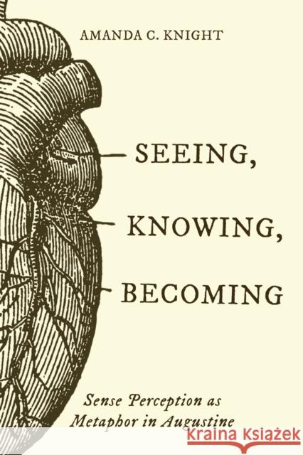 Seeing, Knowing, Becoming: Sense Perception as Metaphor in Augustine