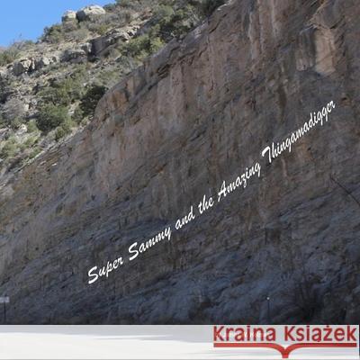 Super Sammy and the Amazing Thingamadigger