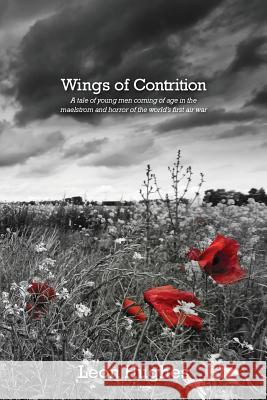 Wings of contrition: A tale of young men coming of age in the maelstrom and horror of the world's first air war