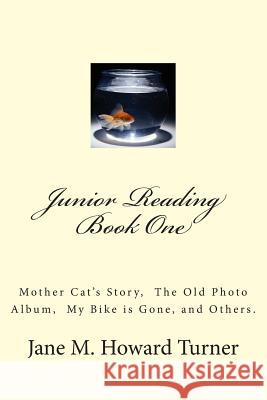 Junior Reading Books: Mother Cat's Story, The Old Photo Album, My Bike is Gone, and others.