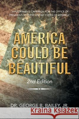 America Could Be Beautiful: A Poor Man's Campaign for the Office of President of These United States of America