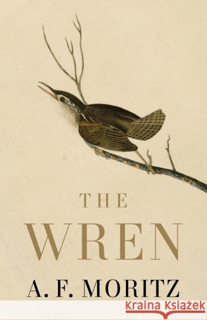 The Wren