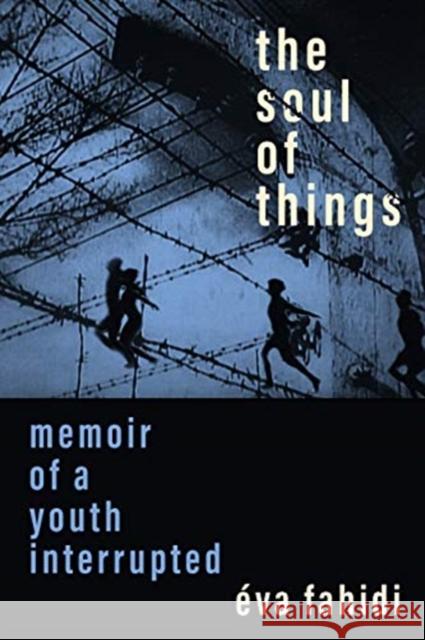 The Soul of Things: Memoir of a Youth Interrupted