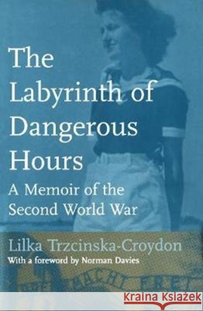 The Labyrinth of Dangerous Hours: A Memoir of the Second World War
