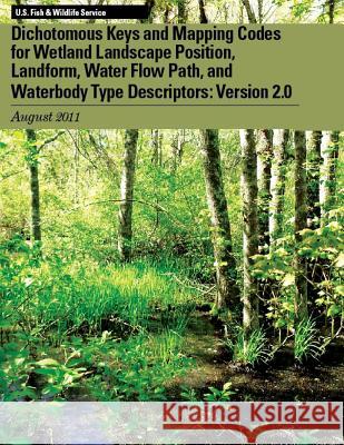 Dichotomous Keys and Mapping Codes for Wetland Landscape Position, Landform, Water Flow Path, and Waterbody Type Descriptors: Version 2.0