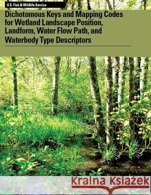 Dichotomous Keys and Mapping Codes for Wetland Landscape Position, Landform, Water Flow Path, and Waterbody Type Descriptors