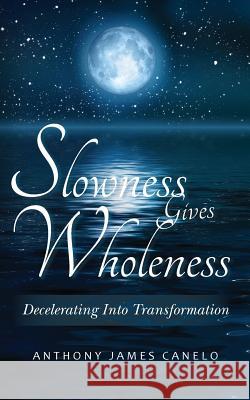 Slowness Gives Wholeness: Decelerating Into Transformation