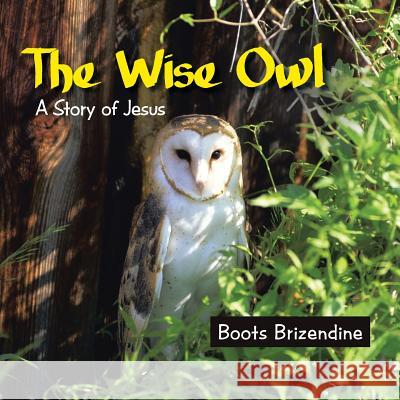 The Wise Owl: A Story of Jesus