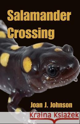 Salamander Crossing