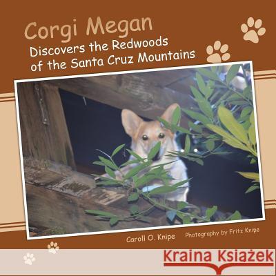 Corgi Megan Discovers the Redwoods of the Santa Cruz Mountains