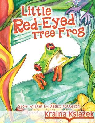 The Little Red-Eyed Tree Frog