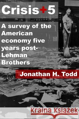 Crisis+5: A survey of the American economy five years post-Lehman Brothers
