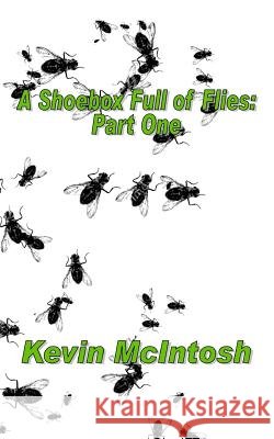 A Shoebox Full Of Flies: Part One