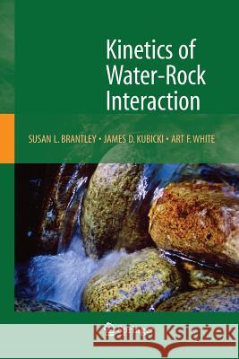 Kinetics of Water-Rock Interaction