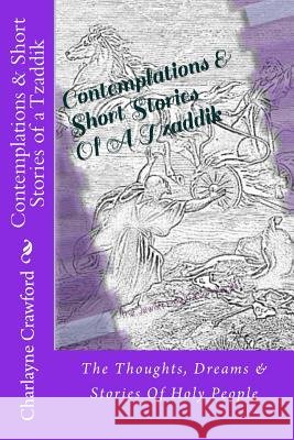 Contemplations & Short Stories Of A Tzaddik: The Thoughts, Dreams & Stories Of Holy People