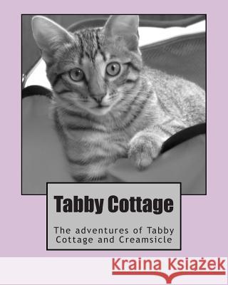 Tabby Cottage: The adventures of Tabby Cottage and Creamsicle