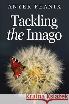 Tackling the Imago