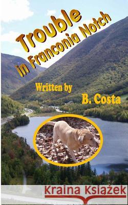 Trouble in Franconia Notch