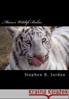 Maine's Wildlife Babies: D.E.W. Animal Kingdom Baby Residents