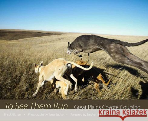 To See Them Run: Great Plains Coyote Coursing