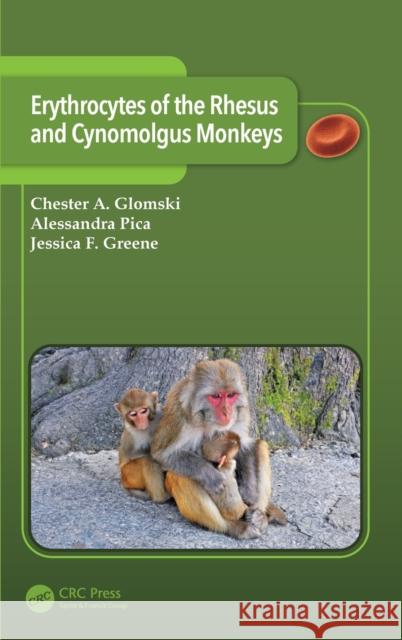 Erythrocytes of the Rhesus and Cynomolgus Monkeys